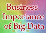 Business Importance of Big Data