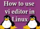 How to use vi editor in Linux?